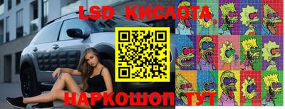 MDMA Новозыбков