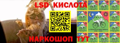 сатива Новодвинск