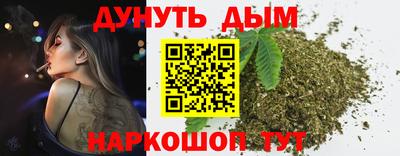 сатива Новодвинск
