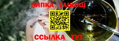 сатива Новодвинск