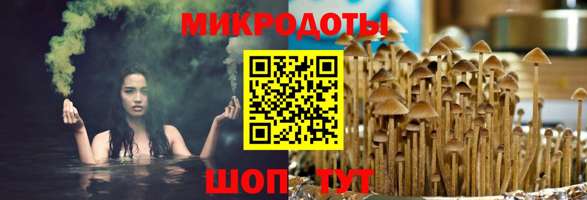 Пугачёв  Псилоцибиновые грибы ЛСД  Псилоцибиновые грибы ЛСД  Вход с VPN 
